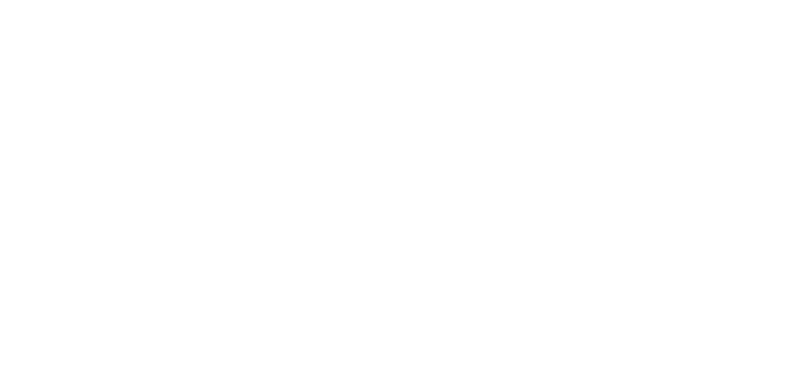 Kundenlogo Digital Strom