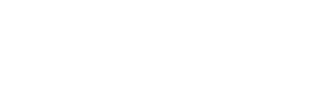 Kundenlogo Xano Now